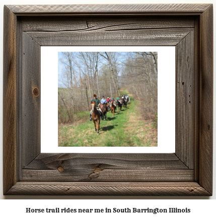 horse trail rides near me in South Barrington, Illinois